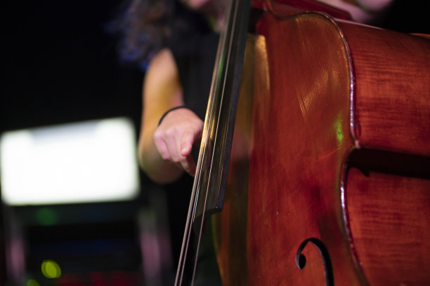 舞台贝斯手图片下载