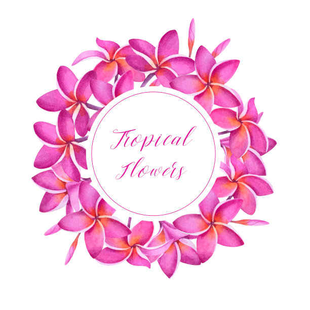 热带鸡蛋花属植物的花环。图片下载