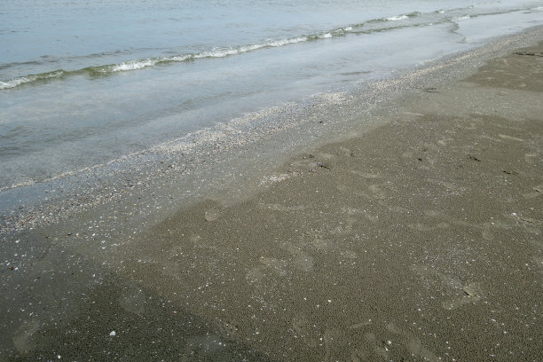 罗马尼亚黑海的沙质质地。大沙配小石子，阳光灿烂。休息,夏天,沙滩。的背景图片。图片下载