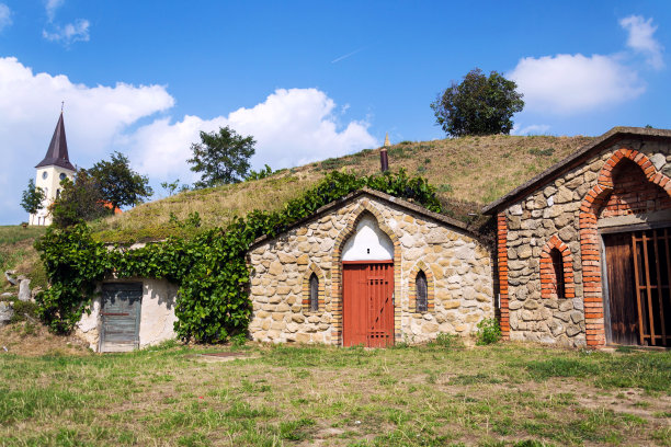 传统的酒窖，Vrbice, Breclav区，南部摩拉维亚，捷克共和国图片下载