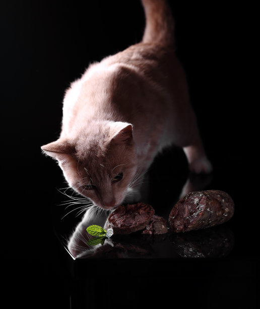 猫的香肠是用碎肉和薄荷做成的。图片下载