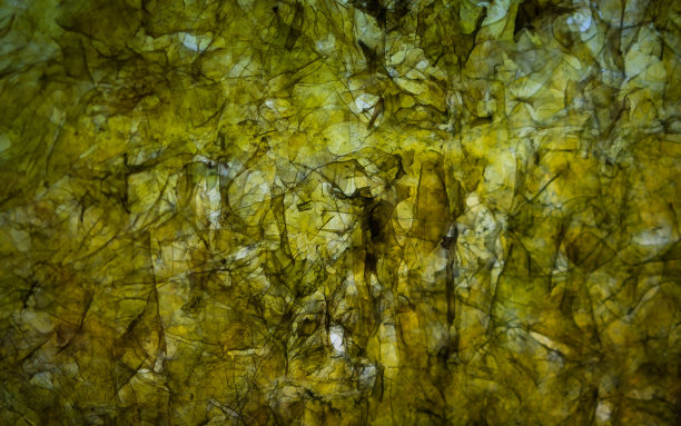 干海苔片，日本料理原料，用于卷寿司或饭团。纹理宏观形象。摘要有机背景。图片下载