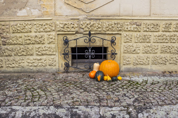 各种各样的冬瓜放在一个漂亮的锻铁格栅前，万圣节的装饰图片下载