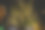 装饰室外的串灯挂在花园里的树上图片下载