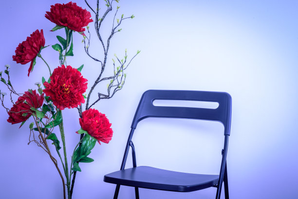 现代客厅装饰，彩色的人造花花瓶和椅子图片下载