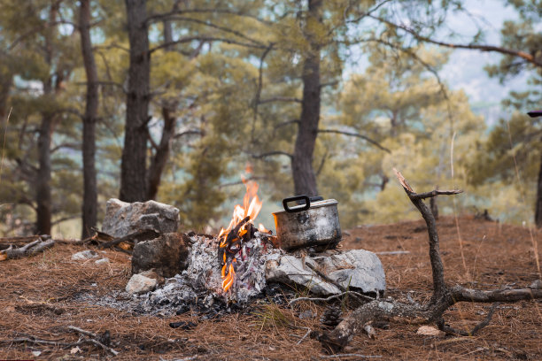 在露营时用篝火做饭图片下载