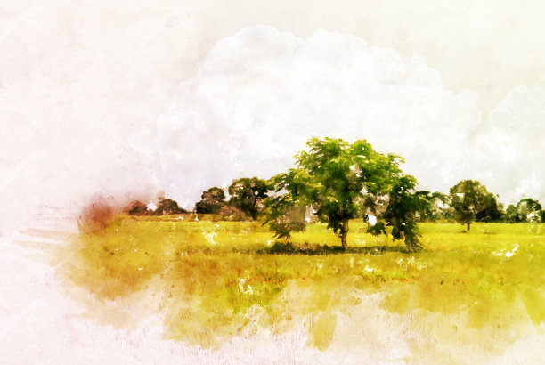 以泰国抽象的树木和田野景观为背景的水彩画插画。图片下载