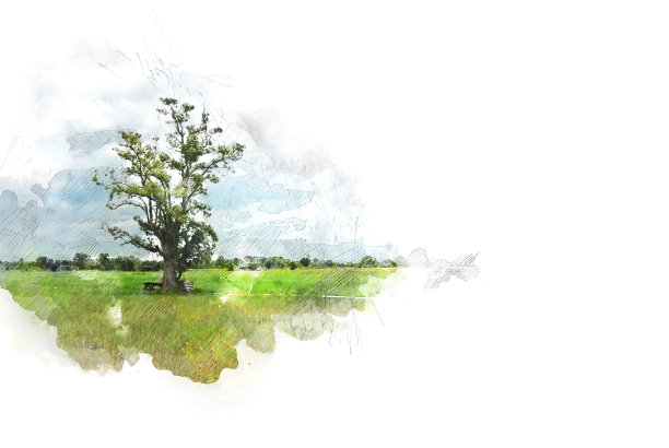 以泰国抽象的树木和田野景观为背景的水彩画插画。图片下载