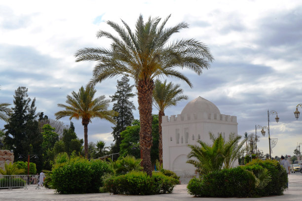 马拉喀什拉拉佐拉墓图片下载