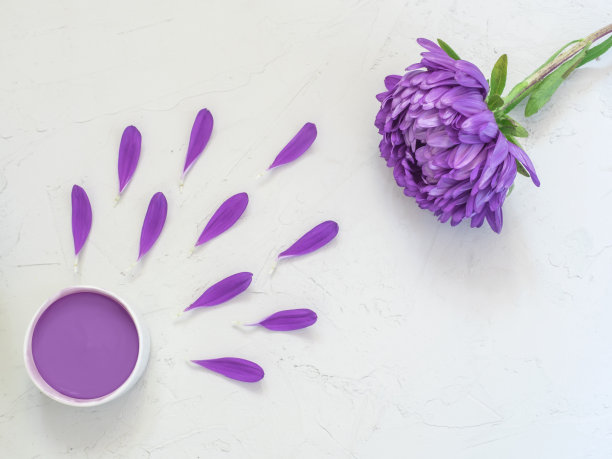 紫色的化妆品霜和紫色的花瓣在白色的背景。创意美时尚化妆品照片。平躺图片下载