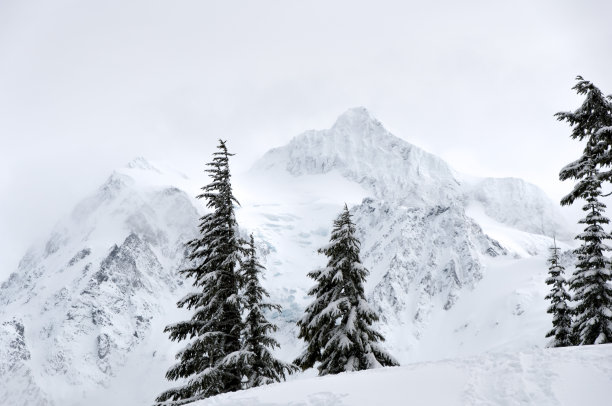 山舒克桑图片下载