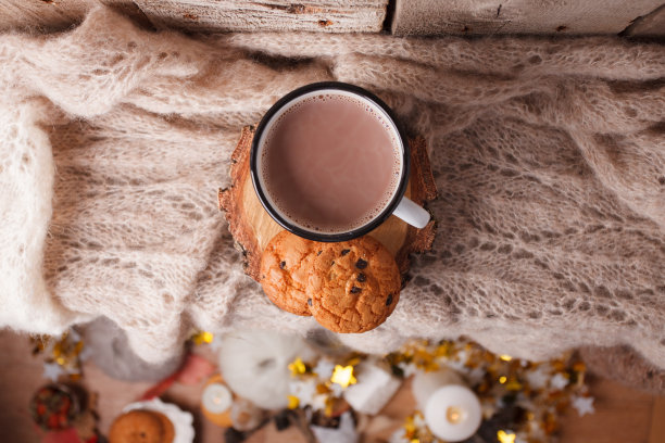 一杯热可可与编织柔软的围巾，温暖的毛衣与美国饼干的特写照片，冬季早晨的概念，顶视图图片下载