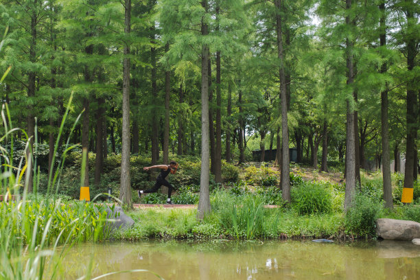 自由的奔跑图片下载