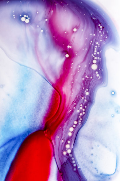 我脑子里的星星图片下载