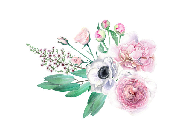 水彩手绘牡丹，玫瑰，银莲花和桉树花束素材图片