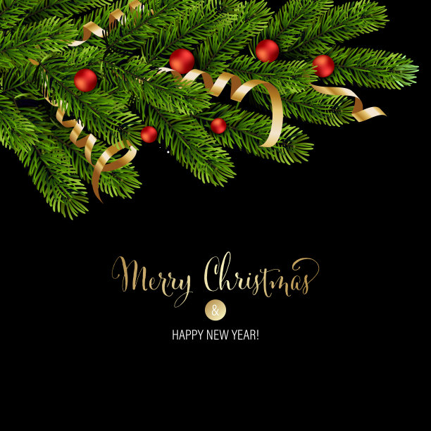 圣诞绿色的松枝和红色的小玩意图片下载