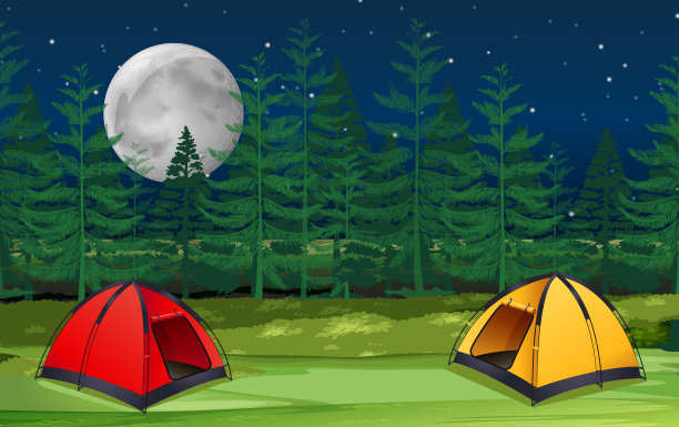 夜景树林里的两张十元钞票图片下载