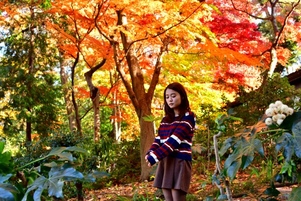 在东京美丽秋叶下站立/锻炼的日本年轻女性图片下载