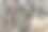 根和岩石图片下载