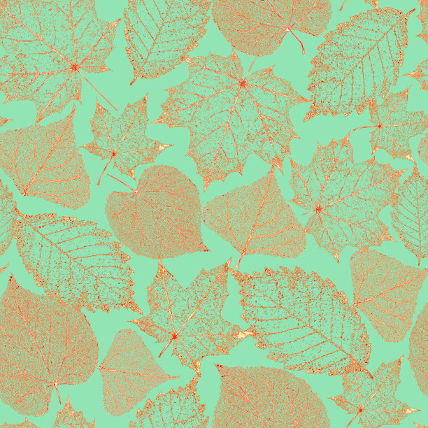 透明的黄金骨架叶无缝图案图片下载