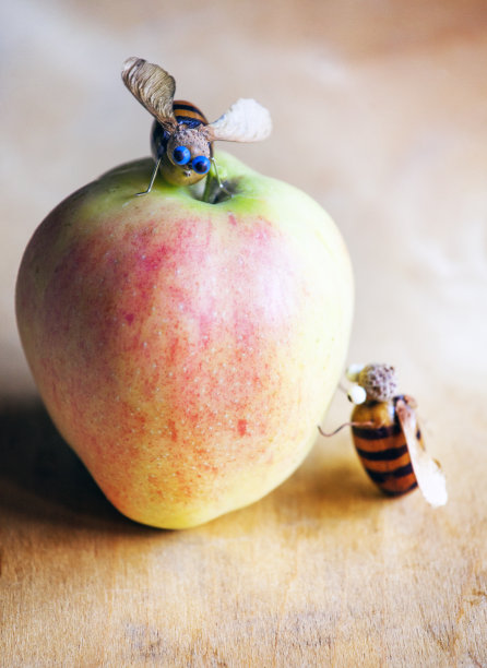 苹果、橡子、蜜蜂木桌图片下载