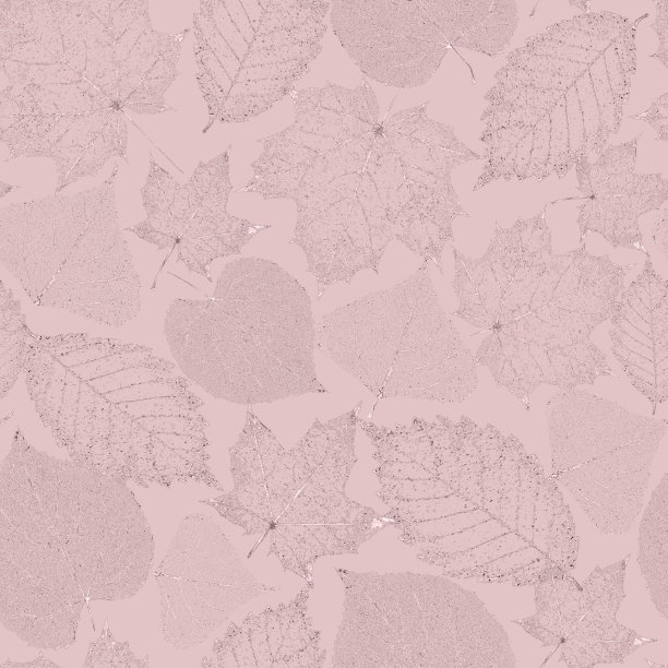 透明的黄金骨架叶无缝图案图片下载