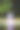 维尔纽斯伯尔纳奈花园的喷泉图片下载