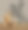 猫骑着玩具摇摆马图片下载