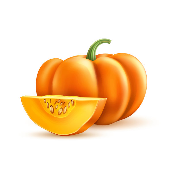 现实南瓜矢量万圣节感恩节图片下载