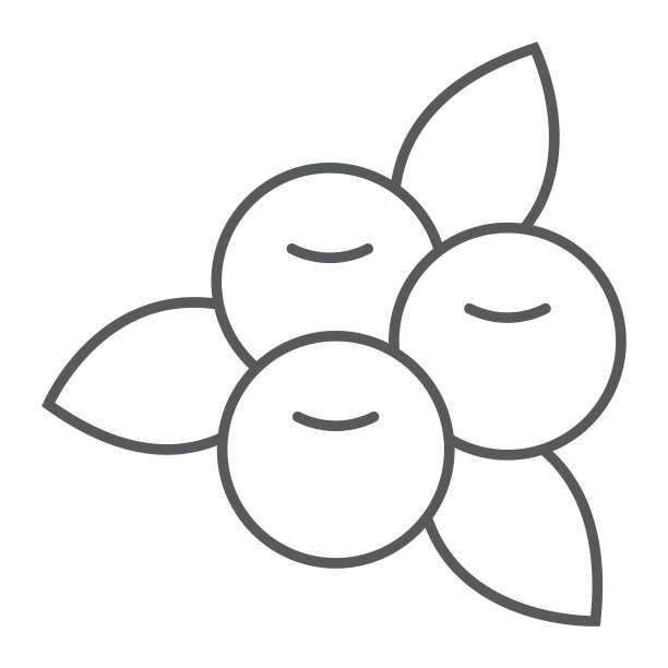 蔓越莓细线图标，食物和浆果，维生素标志，矢量图形，白色背景上的线性图案。图片下载