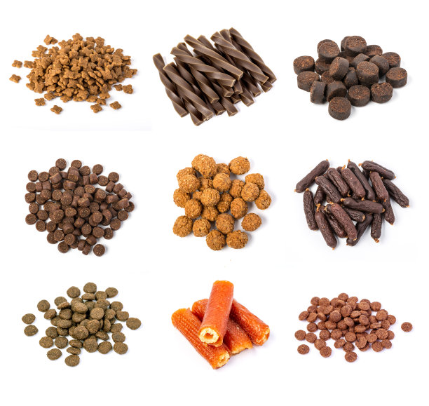 为狗准备干粮图片下载