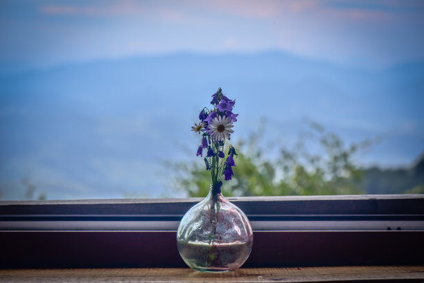 山的花束图片下载