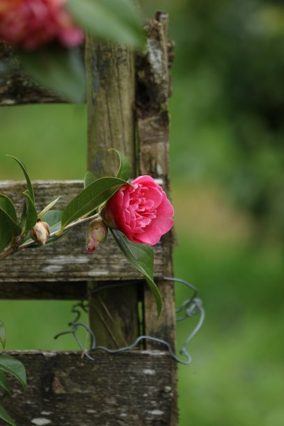 丁字路口图片下载