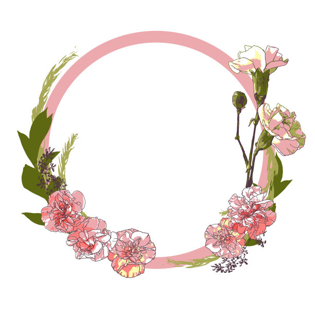 载体康乃馨插花图片下载