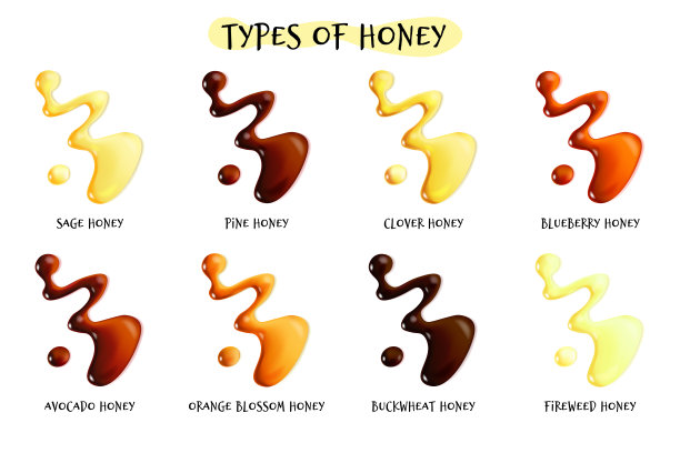 一套不同的现实类型的蜂蜜图片下载