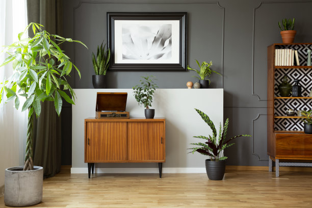 复古橱柜与留声机在真实照片的黑暗的客厅内饰与造型和海报在墙上，新鲜的植物和装饰图片下载