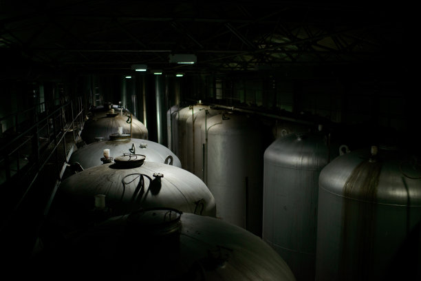 新的大型发酵罐，用于现代葡萄酒工厂。图片下载