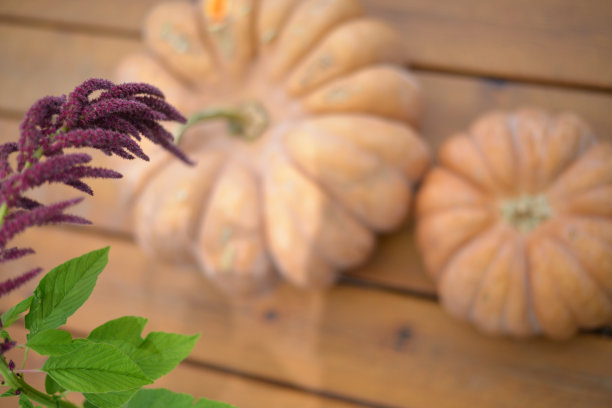 橘色桌子上的南瓜图片下载