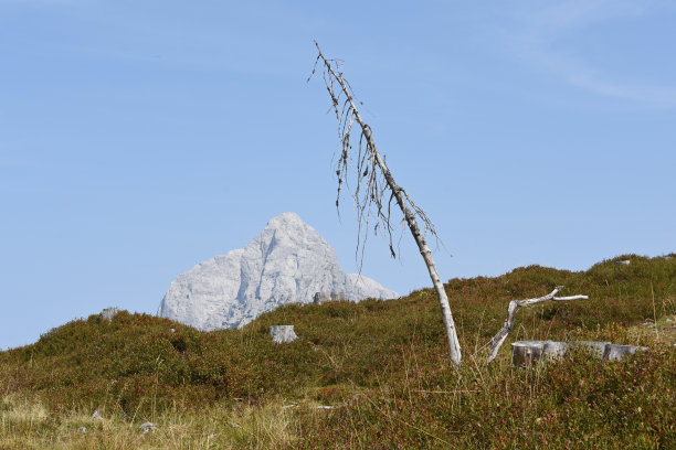 格罗瑟·奥斯坦的巅峰图片下载