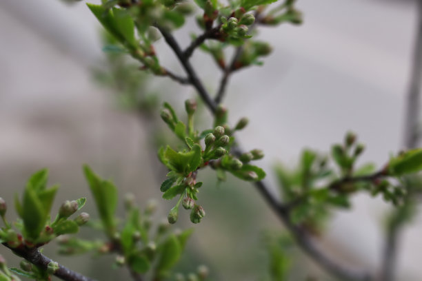 阳光明媚的大自然图片下载