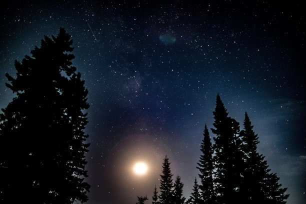 月亮穿过云杉图片下载