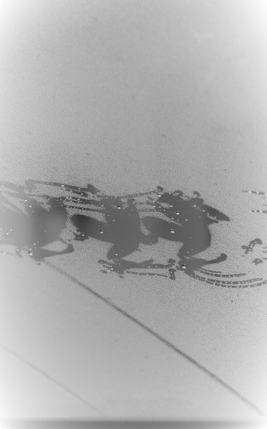 惨淡的灰色的青蛙图片下载