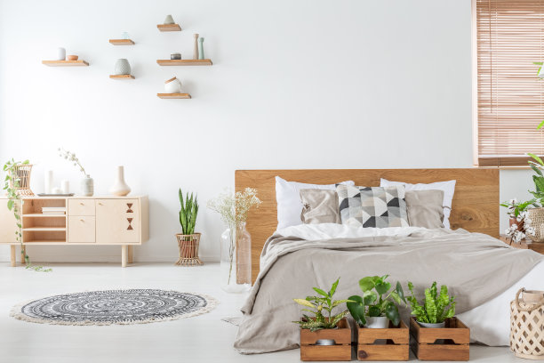 白色卧室内的木床前放着植物，橱柜旁边放着地毯。真实的照片图片下载