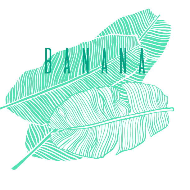 香蕉叶子。手绘线性矢量插图上的白色背景。图片下载