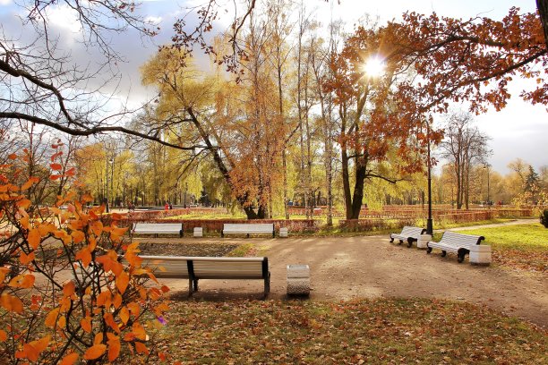 秋日阳光明媚的白色长椅上的城市公园图片下载