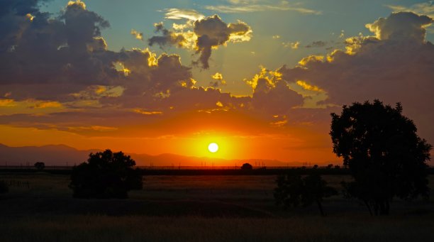 奇诺森林禅图片下载