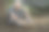 一个成熟的男人在砍柴图片下载