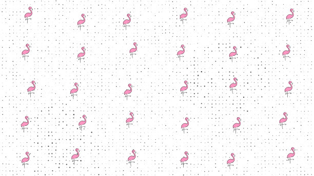 热带火烈鸟背景模式图片下载