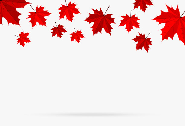 秋天红色的枫叶落在白色的背景孤立图片下载