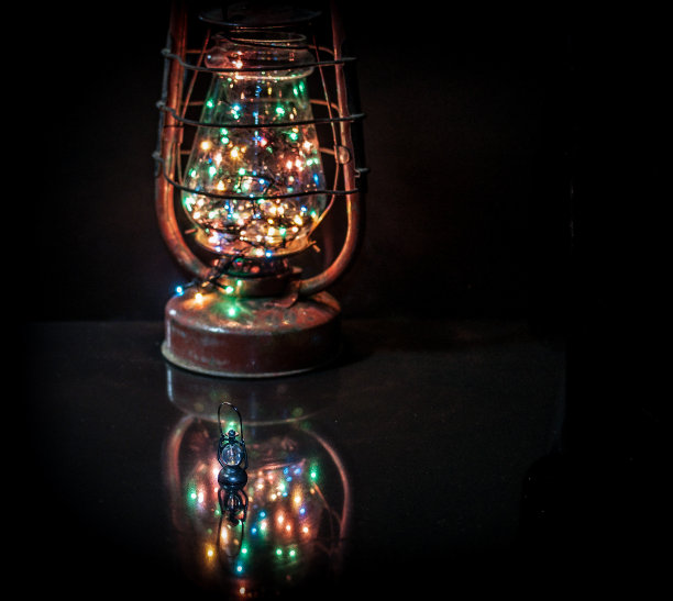 缘分的老师图片下载